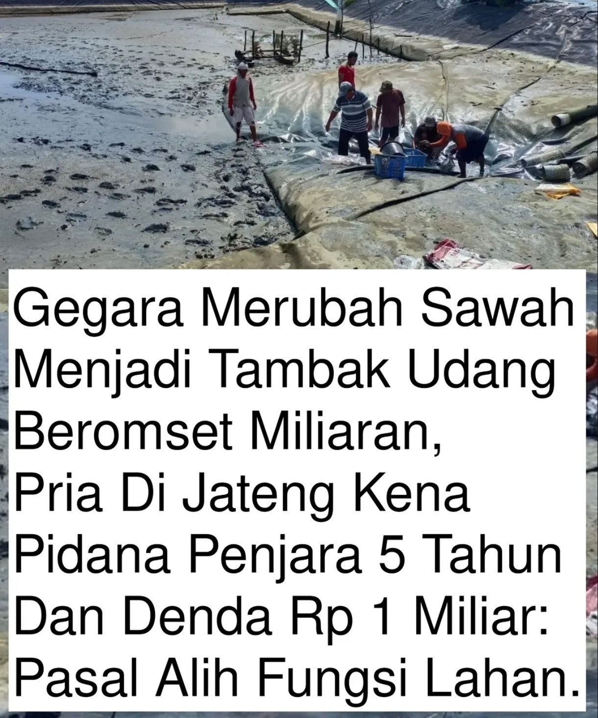 Polda Jateng Bongkar Alih Fungsi Lahan Pertanian Ilegal di Batang